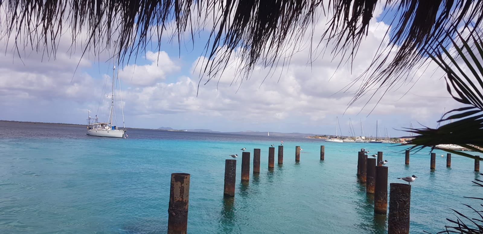 Halbzeit bei der Vereinsmeisterschaft